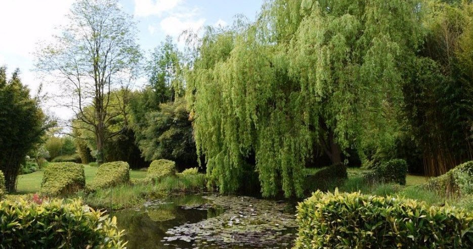 Le Parc Aux Bambous, Lapenne, France